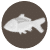 Pescado blanco