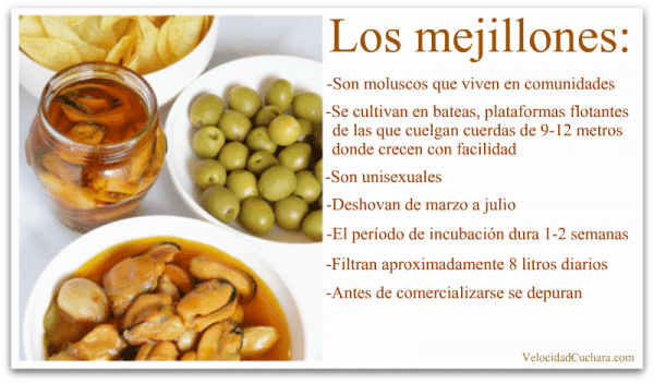 Genial para cuando tienes amigos en casa y quieres poner algo diferente Genial para cuando tienes amigos en casa y quieres poner algo diferente