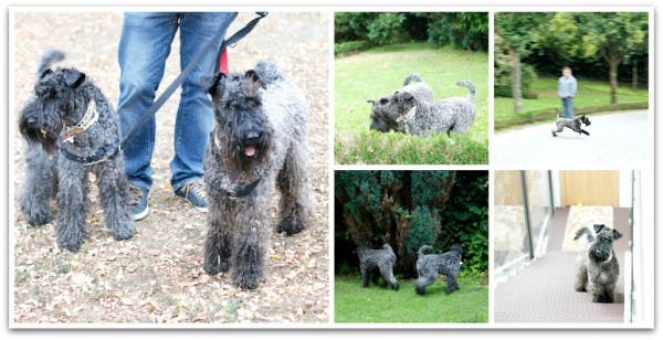 Clara y Camilo de vacaciones 2015, las primeras juntos