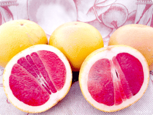 Magdalenas De Naranja Con O Sin Gluten Velocidad Cuchara