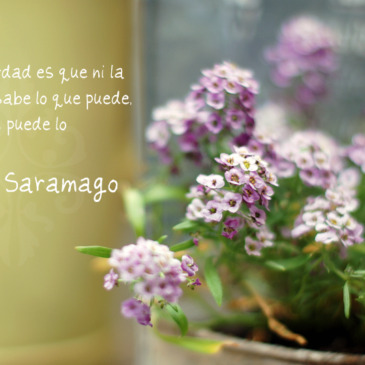 Se ha ido un sabio: José Saramago