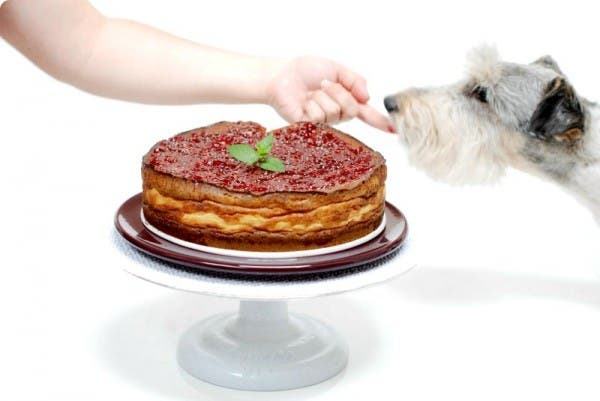 Esta es la tarta de Queso fresco de la 'Pepa'