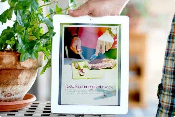 Recetario para barbacoas 'Toda la carne en el asador'