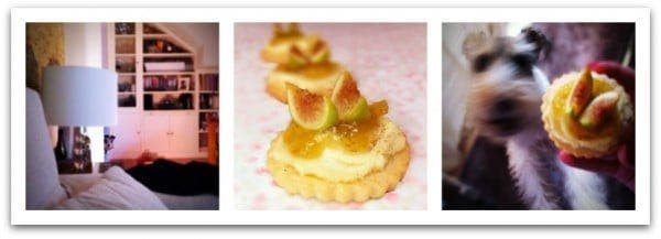 El golfo de Willy me ha robado una galleta :D