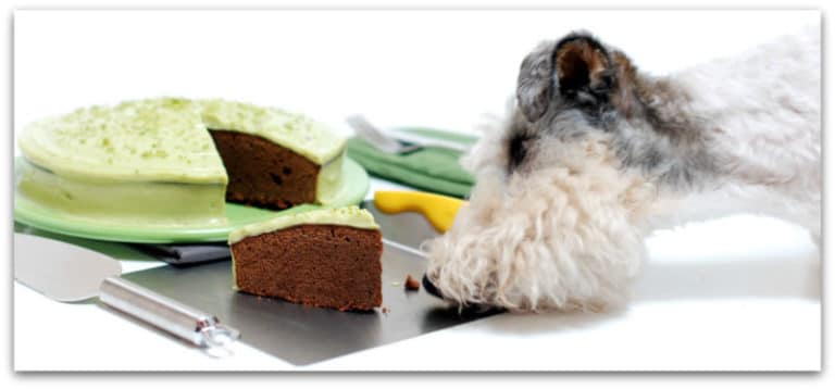 Bizcocho de chocolate, café y cobertura de lima y aguacate