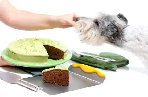 Tarta de chocolate y caf&eacute; con cobertura de lima y aguacate