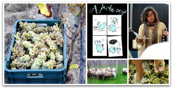 Vinos ecológicos "A pita cega" (la gallina ciega)