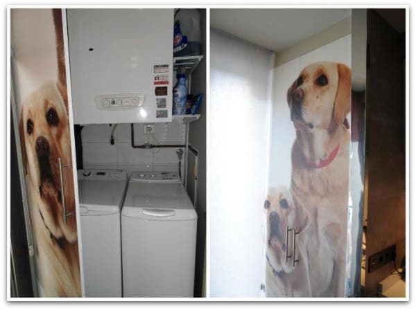 Lavadora y secadora tras una puerta con la foto de los perros