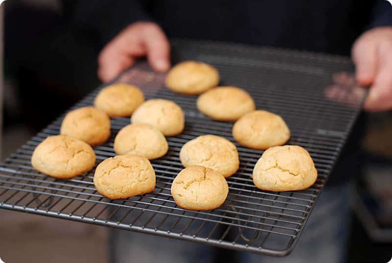 Galletitas de la abuela Elisa con Thermomix