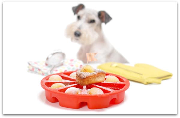 La coca corre peligro con Willy al lado