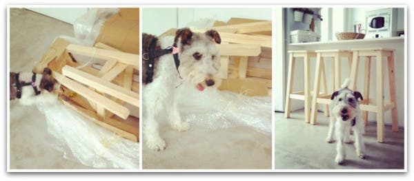 Willy abriendo paquetes