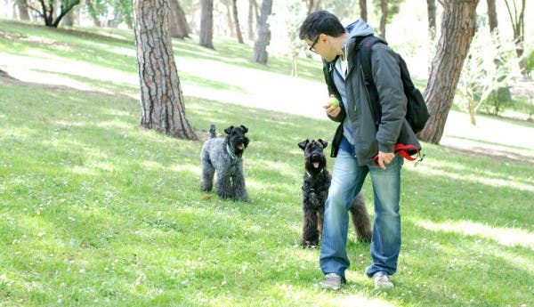 Clara y Camilo jugando en el Parque del Oeste