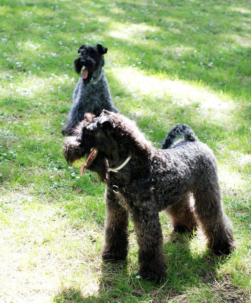 Camilo y Clara en la parque del Oeste