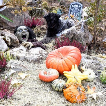 Decora tu jardín para Halloween