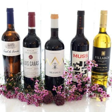 Cinco vinos ricos para Navidad