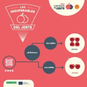 Picota del Jerte